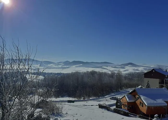 Penema * 즐라티보